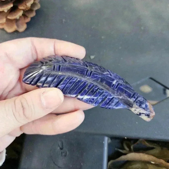 🔮 Sodalite Natural Crystal Feather Stone Carving Figure - Picture 2 of 4